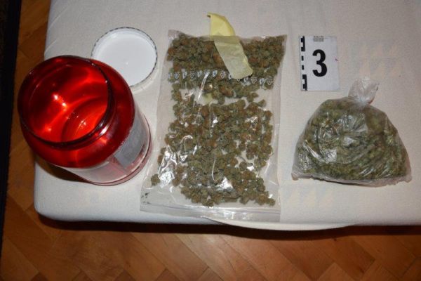 Policajný pes pri preventívnej akcii na trnavskej základnej škole odhalil drogy len u 13-ročného chlapca